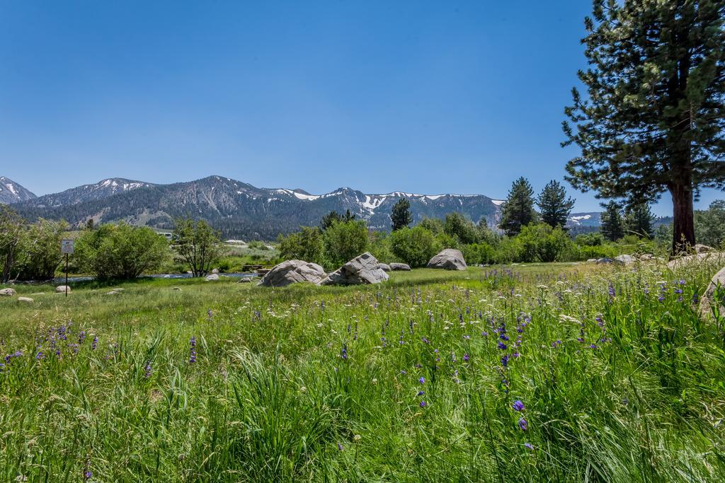 Mammoth Creek Condos Mammoth Lakes Eksteriør bilde